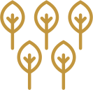 Ikona